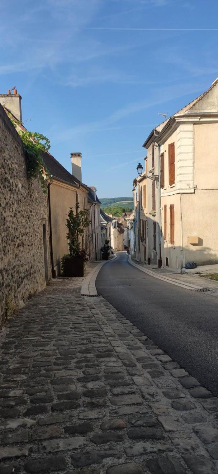 Esope By Kleidos-Ravissant T2 En Plein Centre De Château-Thierry Extérieur photo